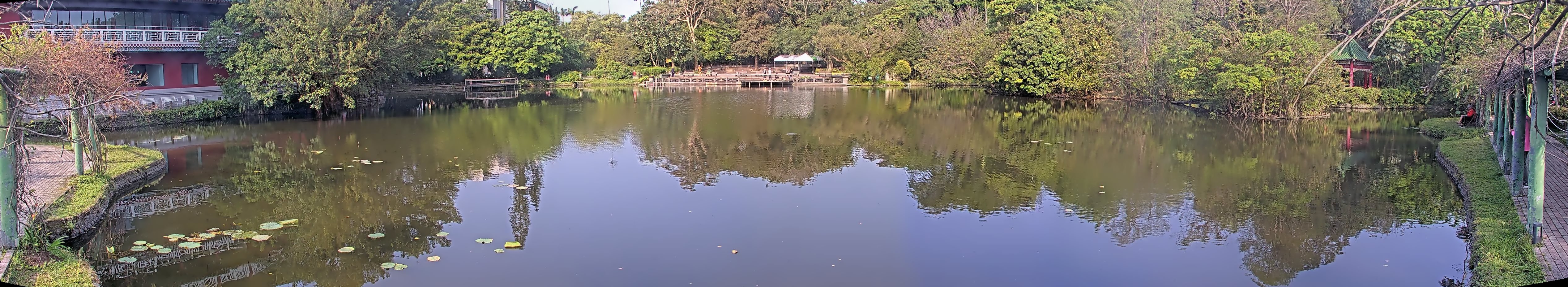 拍照日期：2025-04-04 時間：7時