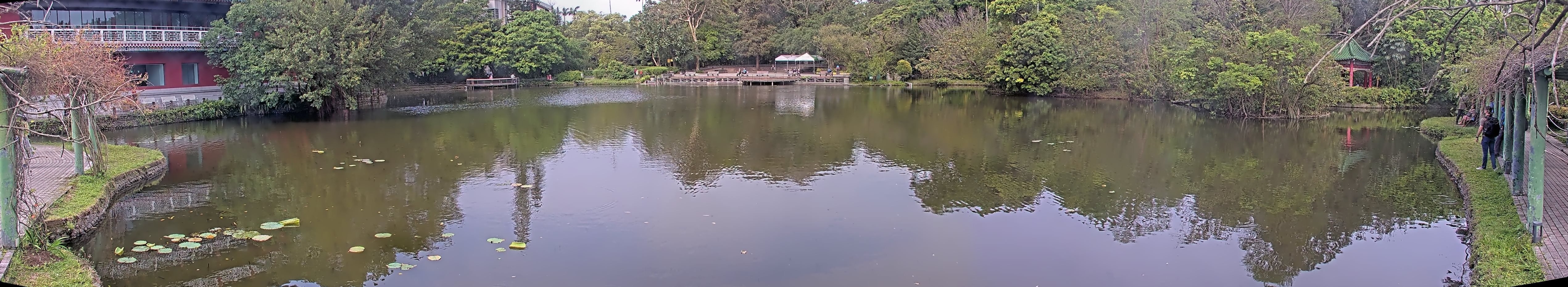 拍照日期：2025-04-04 時間：8時