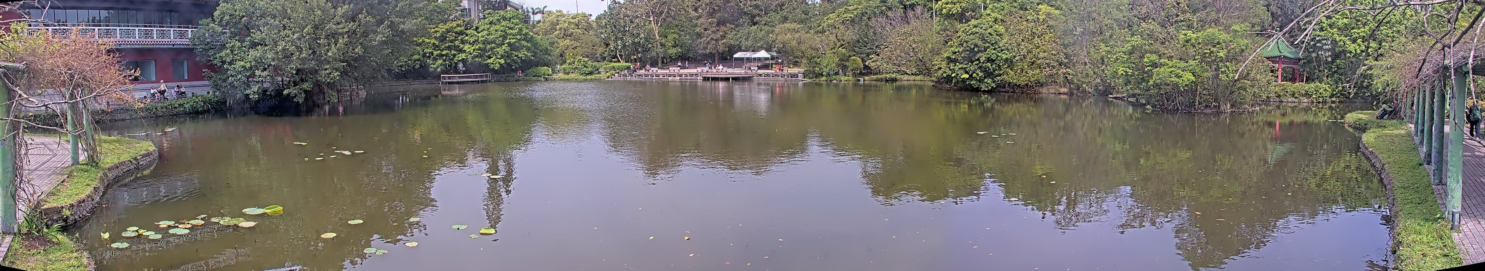 拍照日期：2025-04-04 時間：9時