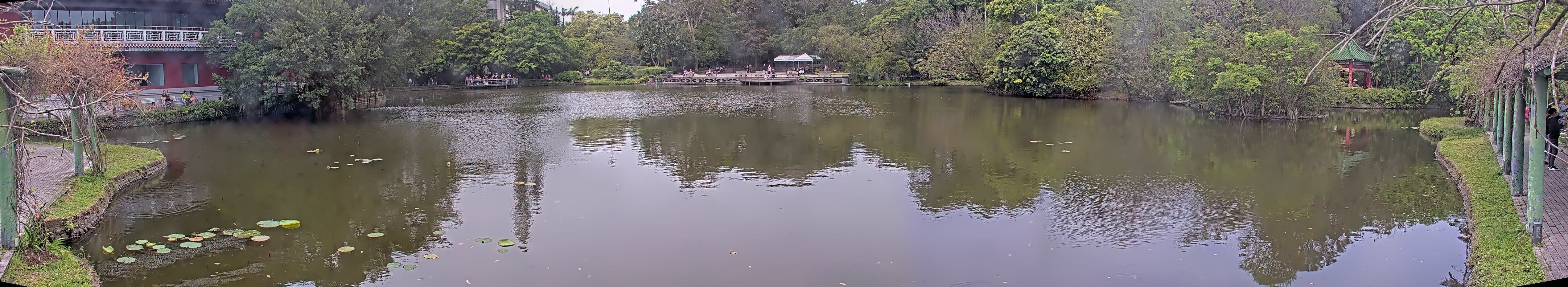 拍照日期：2025-04-04 時間：10時