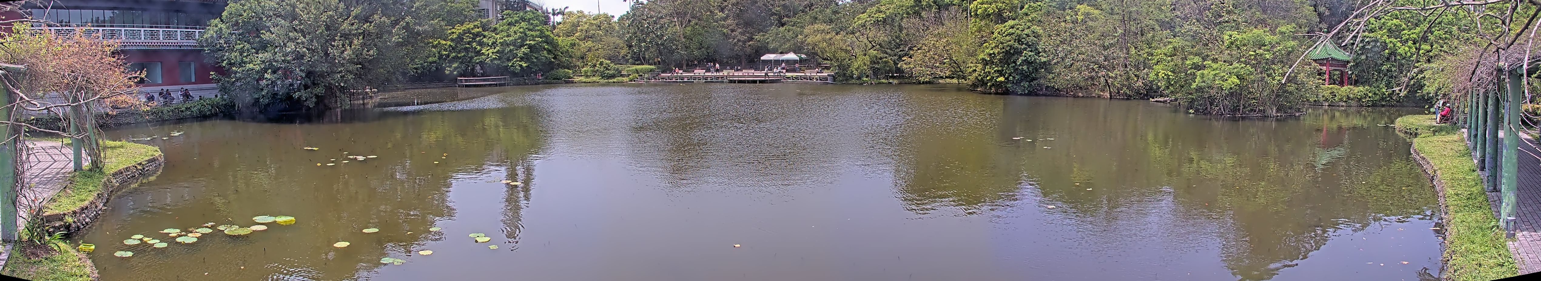 拍照日期：2025-04-04 時間：11時