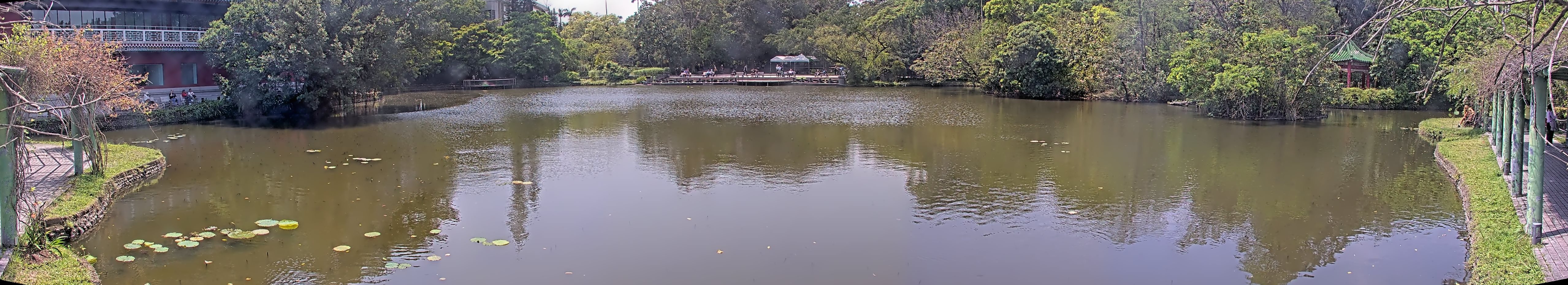 拍照日期：2025-04-04 時間：12時