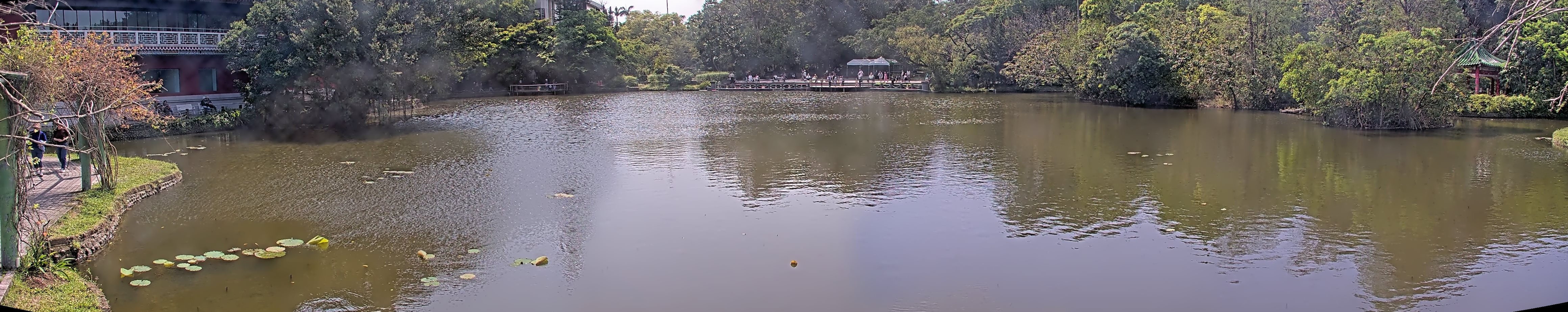 拍照日期：2025-04-04 時間：13時