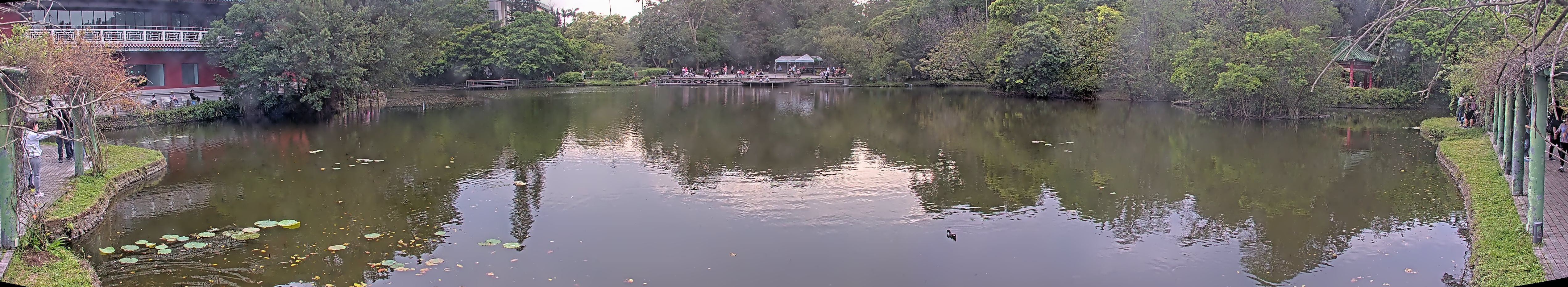 拍照日期：2025-04-04 時間：15時