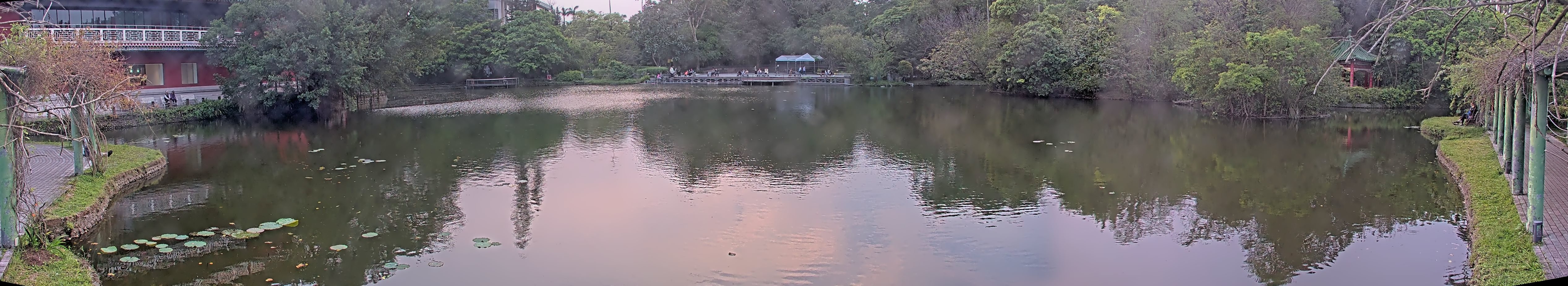 拍照日期：2025-04-04 時間：17時