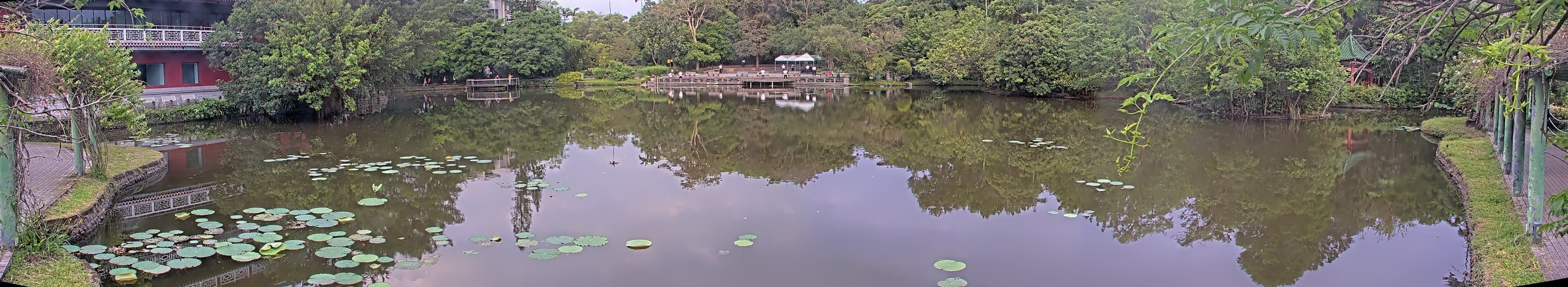 拍照日期：2025-05-05 時間：5時