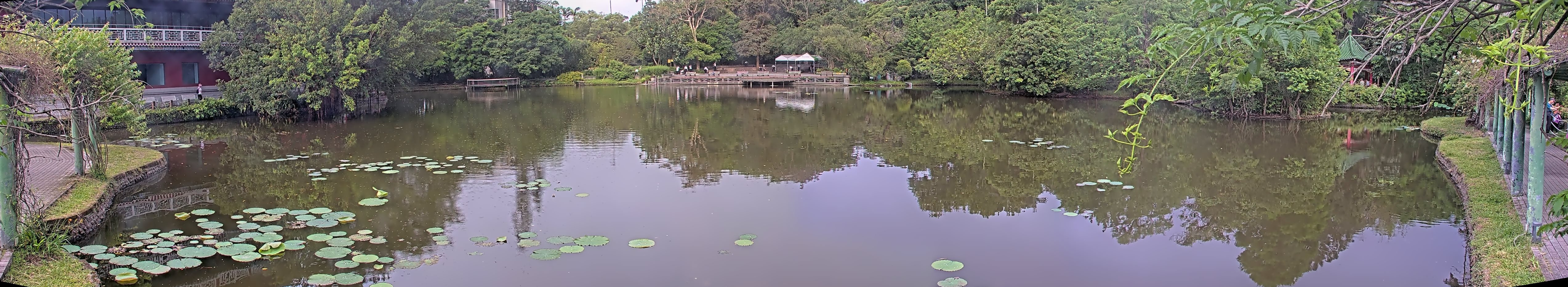 拍照日期：2025-05-05 時間：6時