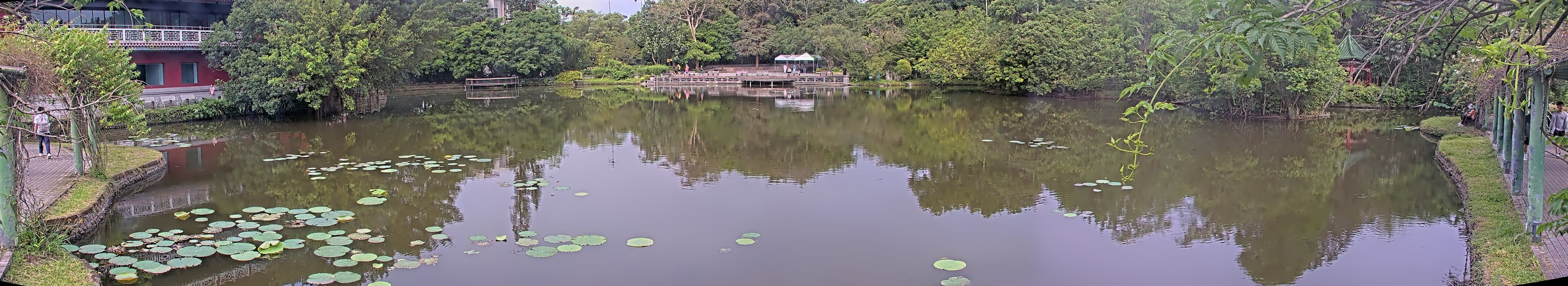 拍照日期：2025-05-05 時間：7時