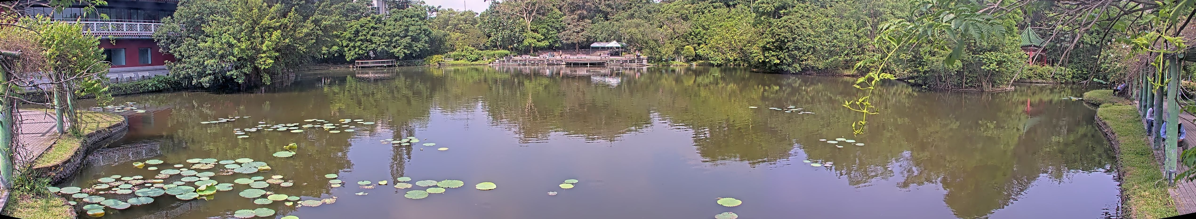 拍照日期：2025-05-05 時間：8時