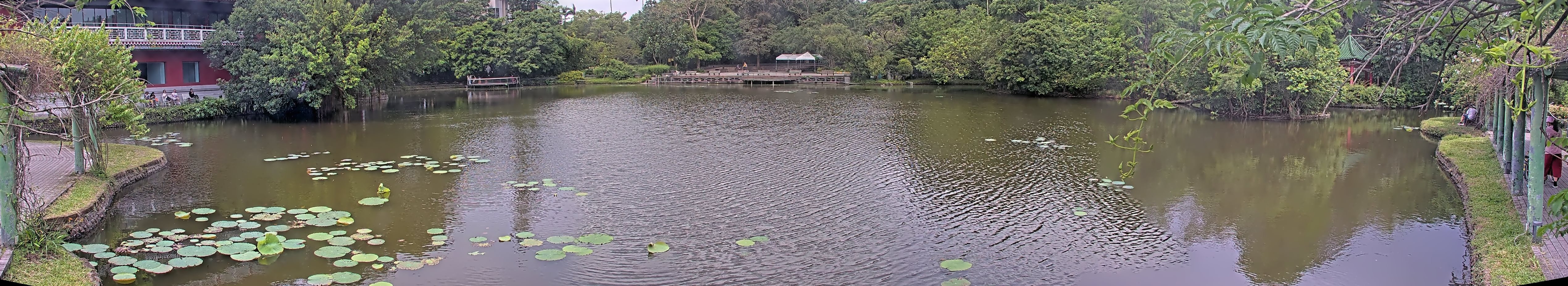 拍照日期：2025-05-05 時間：9時