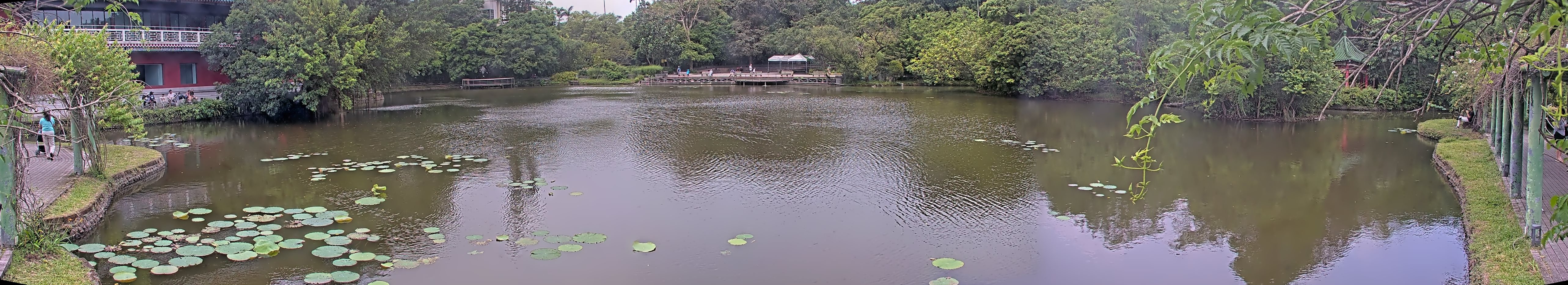 拍照日期：2025-05-05 時間：10時