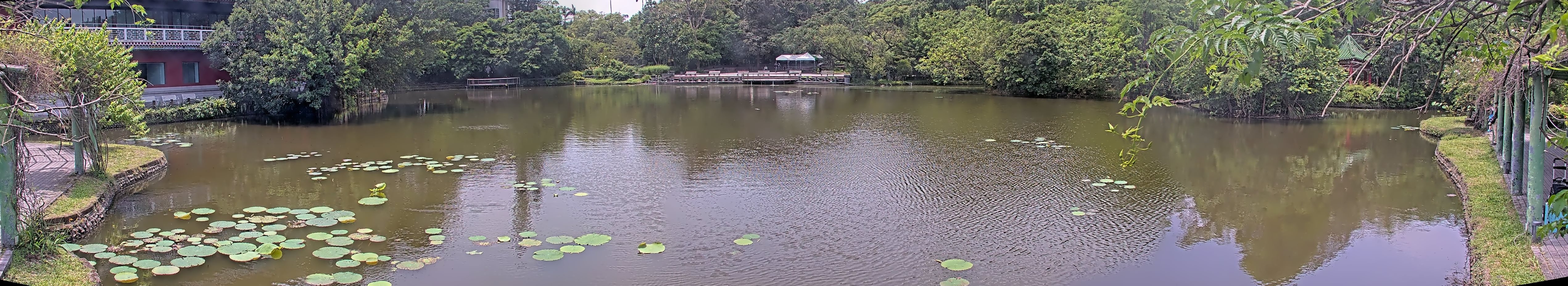 拍照日期：2025-05-05 時間：11時