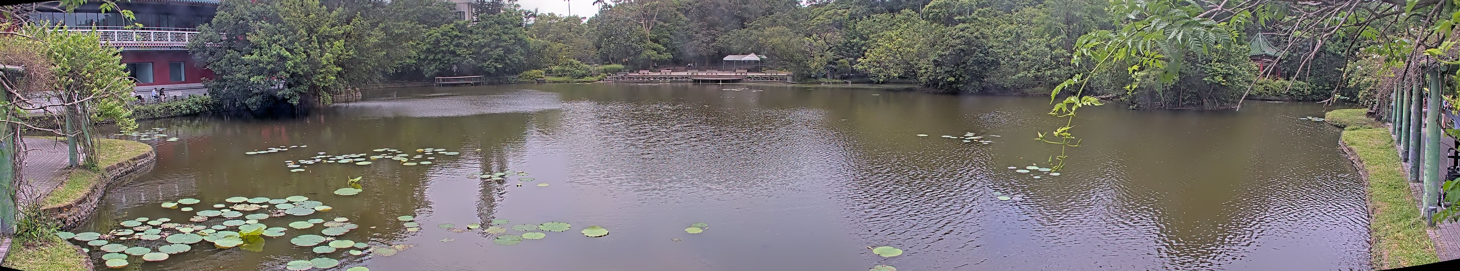 拍照日期：2025-05-05 時間：12時