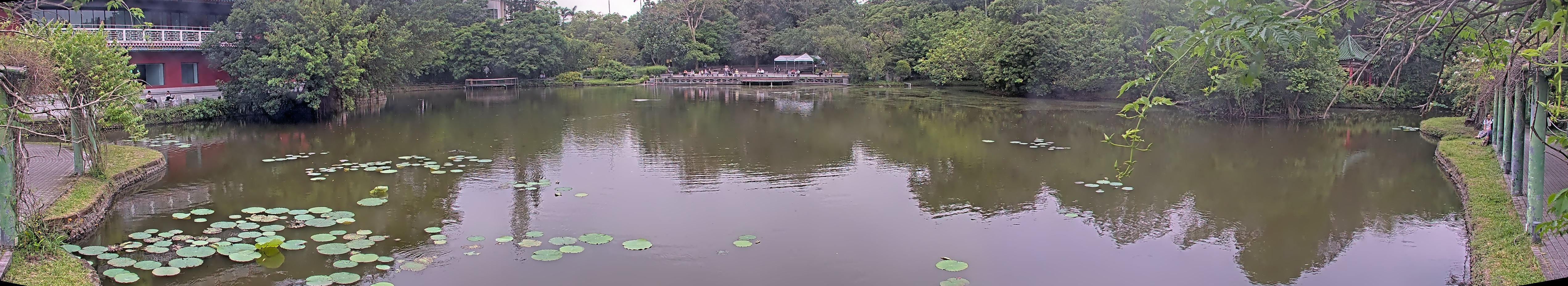 拍照日期：2025-05-05 時間：15時