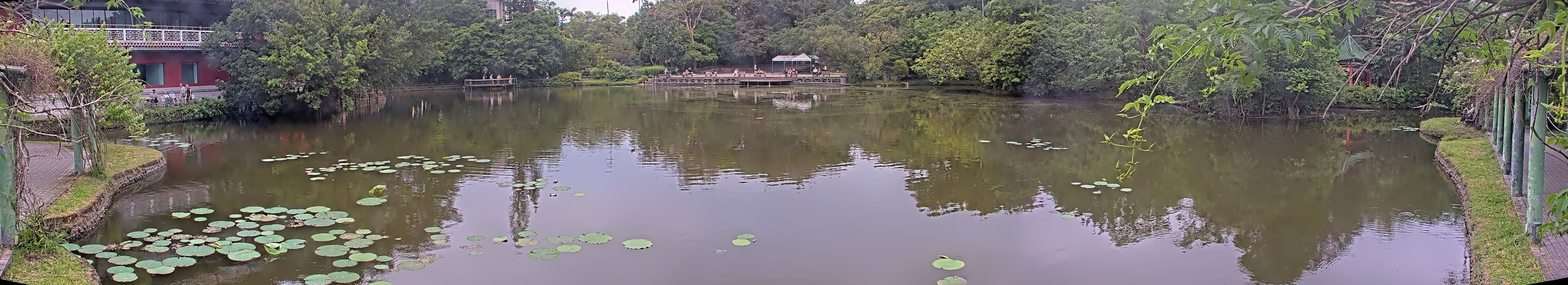 拍照日期：2025-05-05 時間：16時