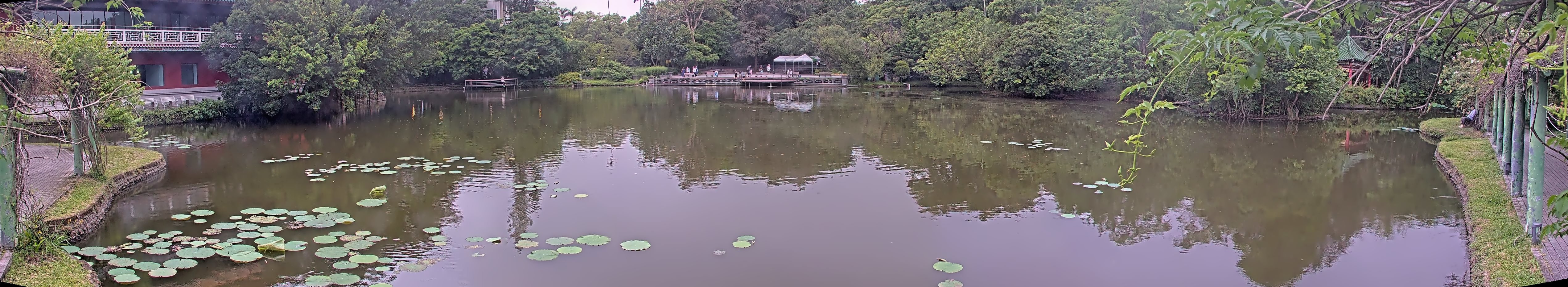 拍照日期：2025-05-05 時間：17時