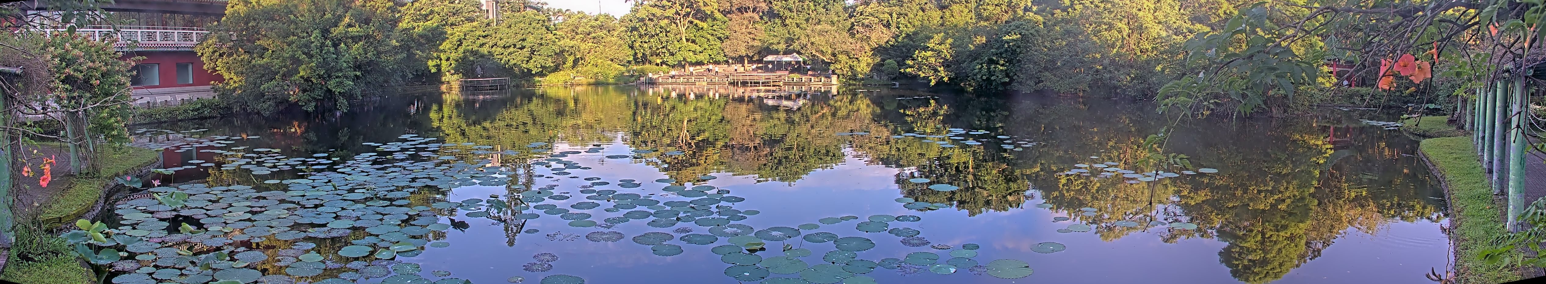 拍照日期：2025-06-06 時間：5時