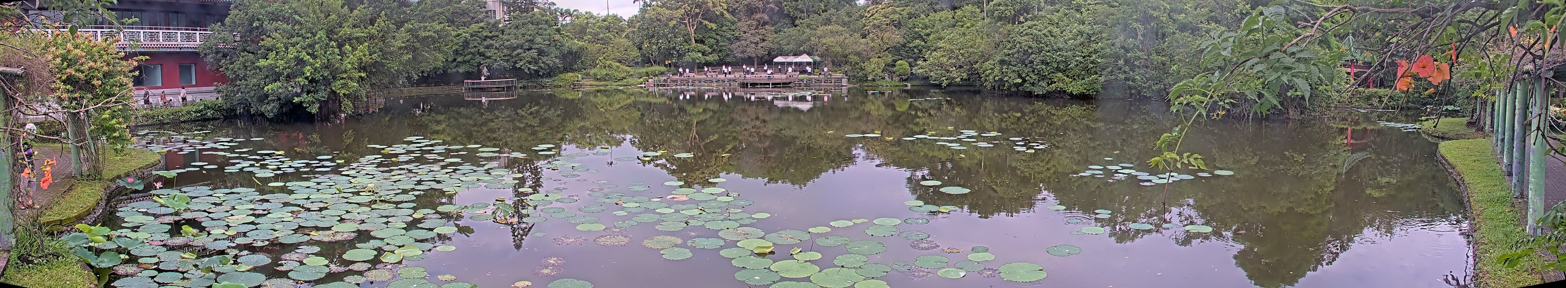 拍照日期：2025-06-06 時間：6時