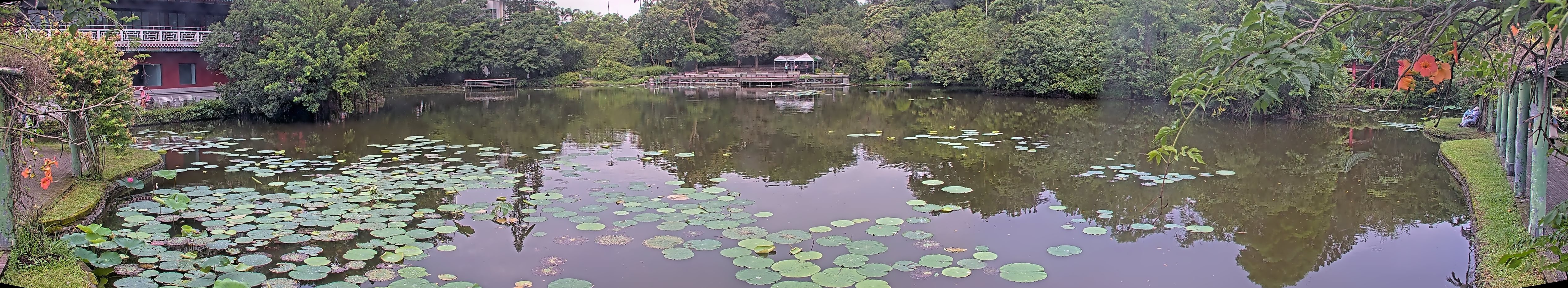 拍照日期：2025-06-06 時間：7時