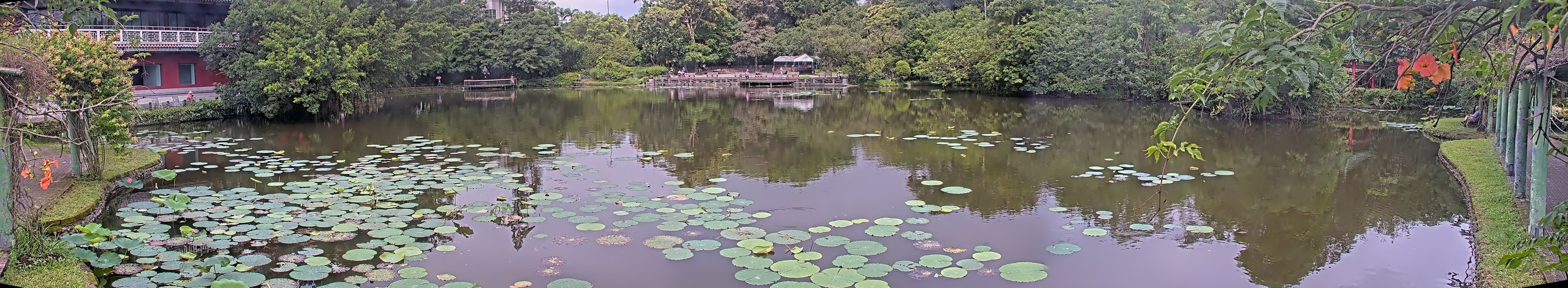 拍照日期：2025-06-06 時間：8時