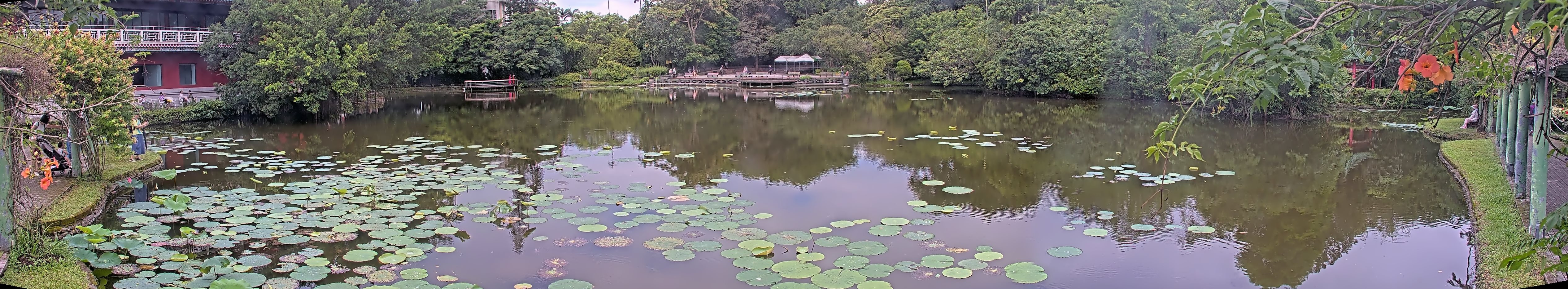 拍照日期：2025-06-06 時間：9時