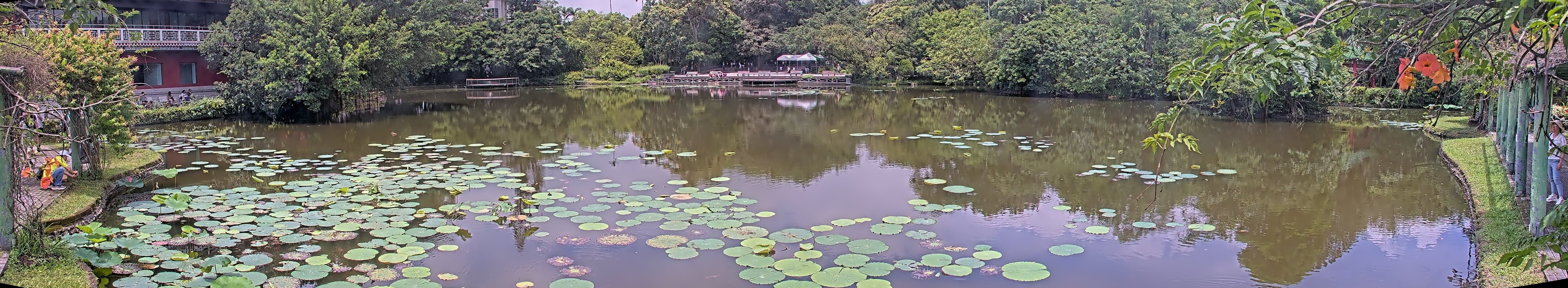 拍照日期：2025-06-06 時間：10時