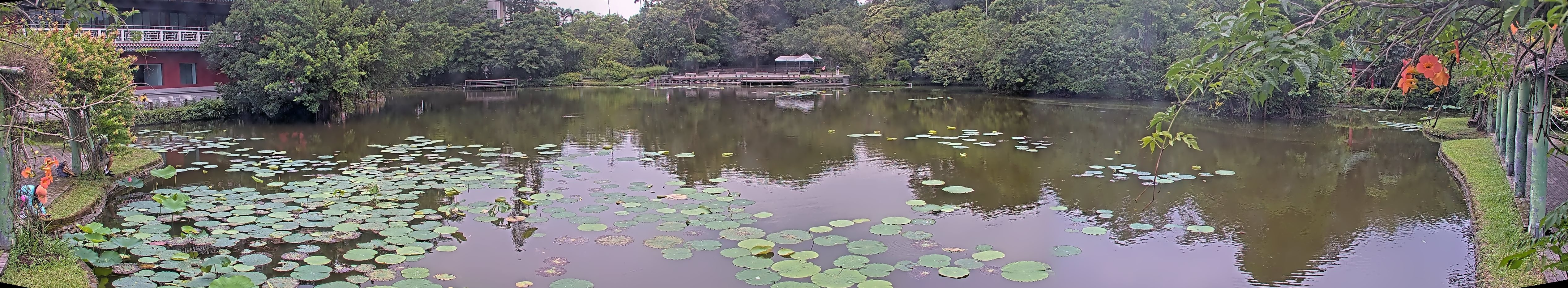 拍照日期：2025-06-06 時間：11時