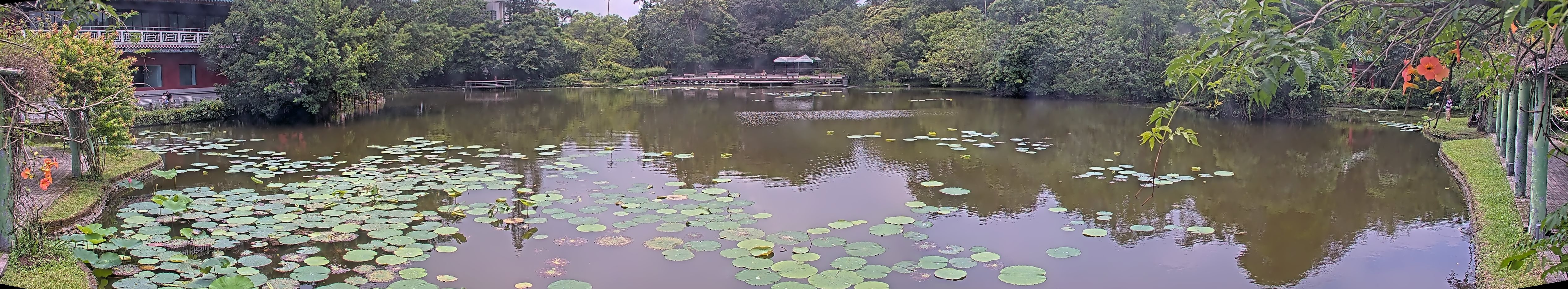 拍照日期：2025-06-06 時間：12時