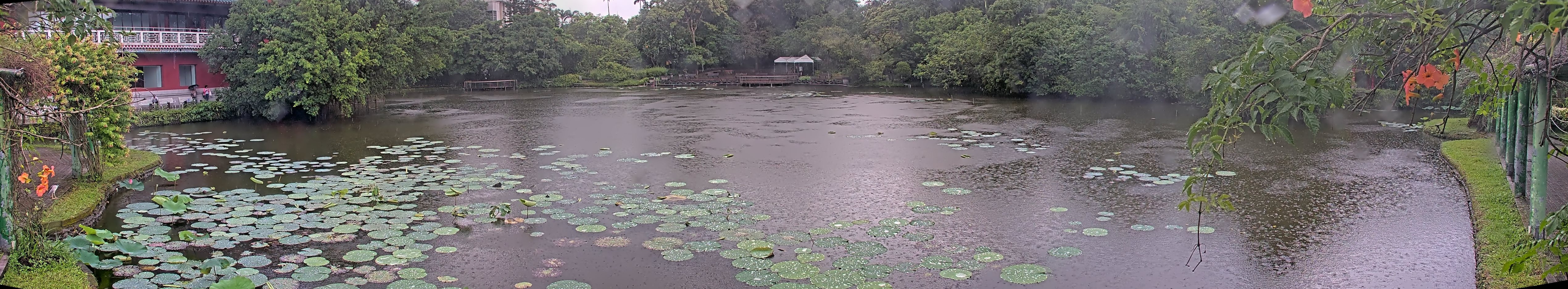 拍照日期：2025-06-06 時間：13時