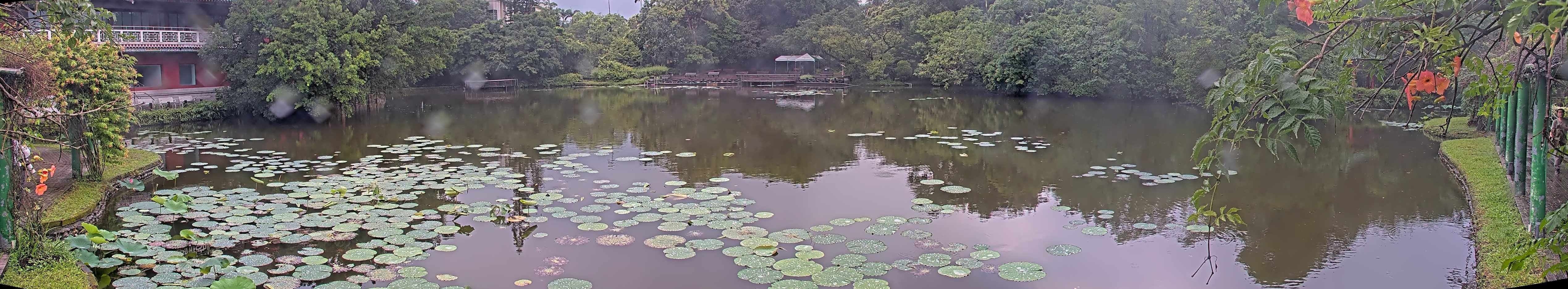 拍照日期：2025-06-06 時間：14時