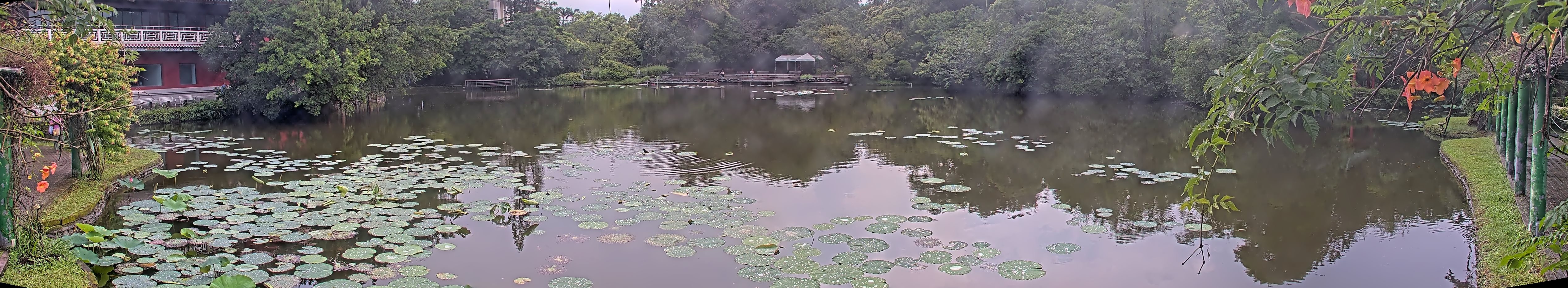 拍照日期：2025-06-06 時間：15時