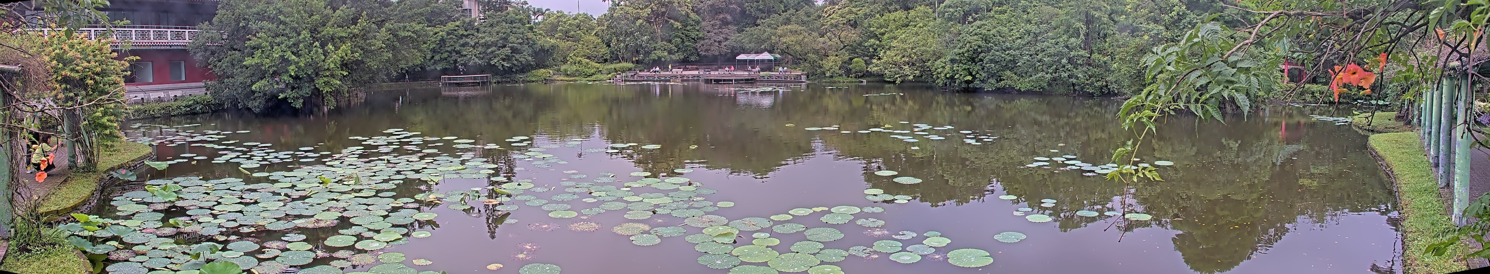 拍照日期：2025-06-06 時間：16時