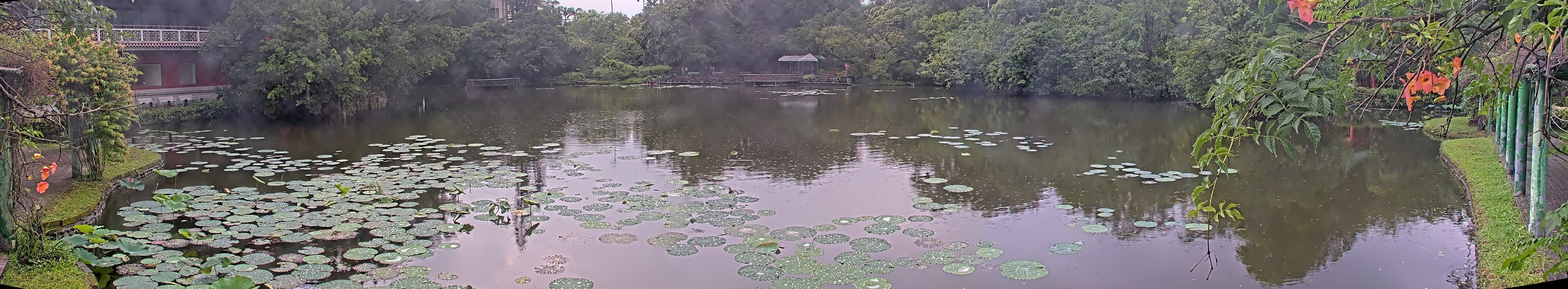 拍照日期：2025-06-06 時間：17時