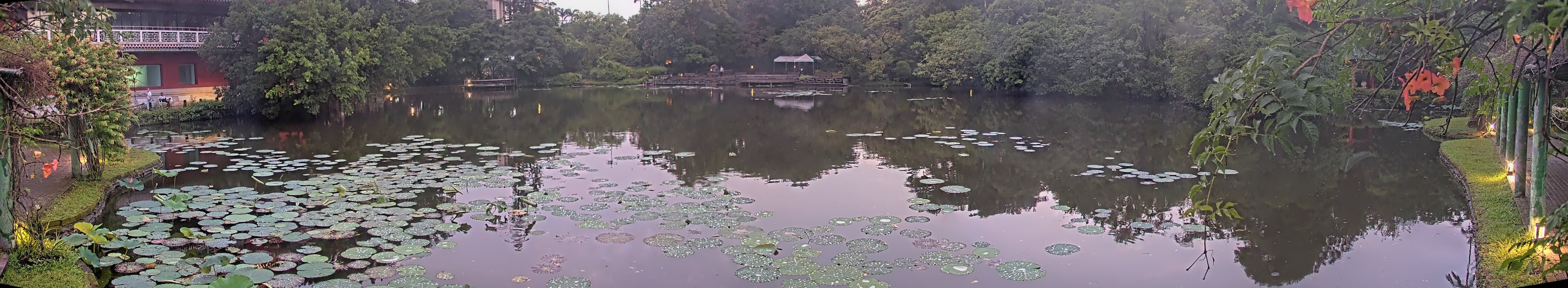 拍照日期：2025-06-06 時間：18時