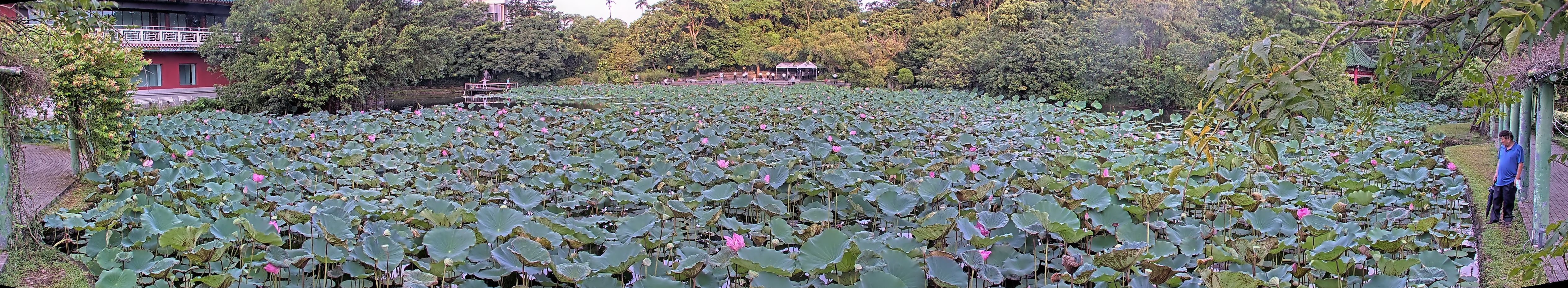 拍照日期：2025-08-08 時間：5時