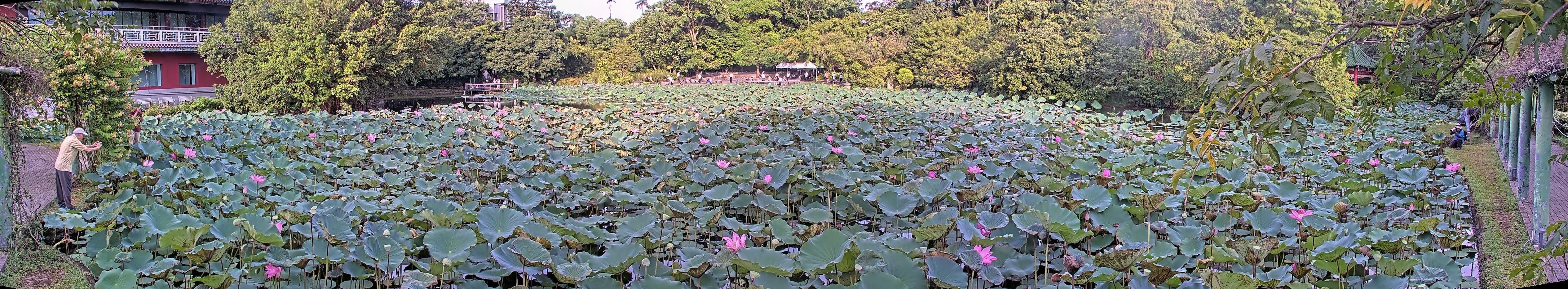 拍照日期：2025-08-08 時間：6時