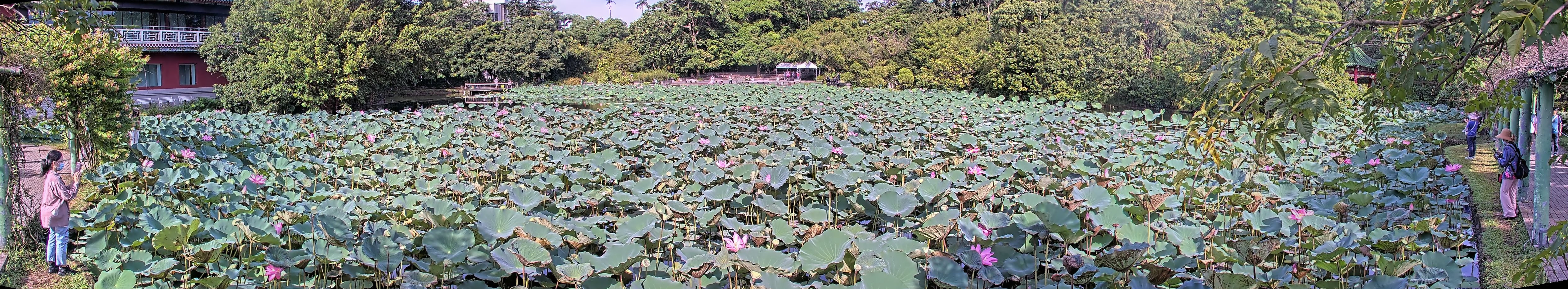 拍照日期：2025-08-08 時間：7時