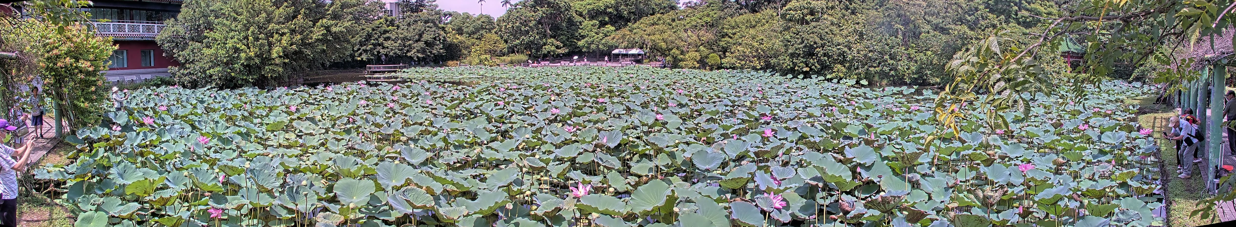 拍照日期：2025-08-08 時間：9時