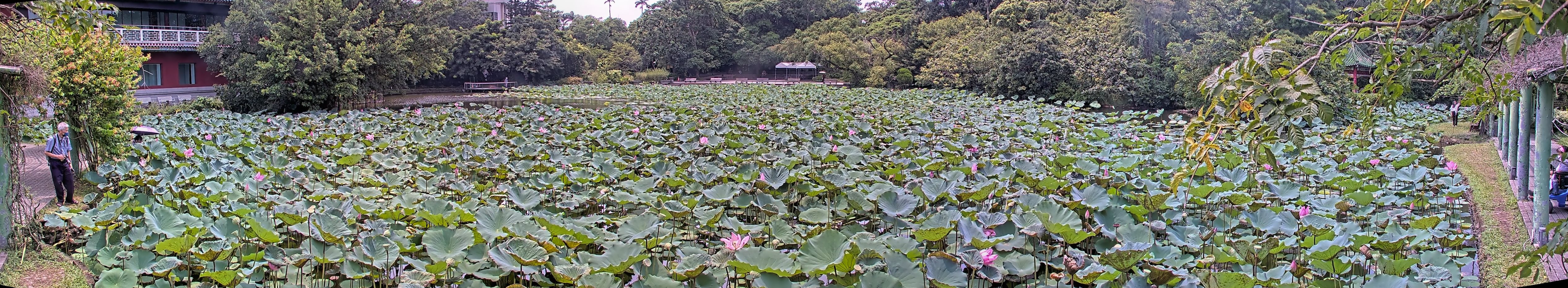 拍照日期：2025-08-08 時間：12時