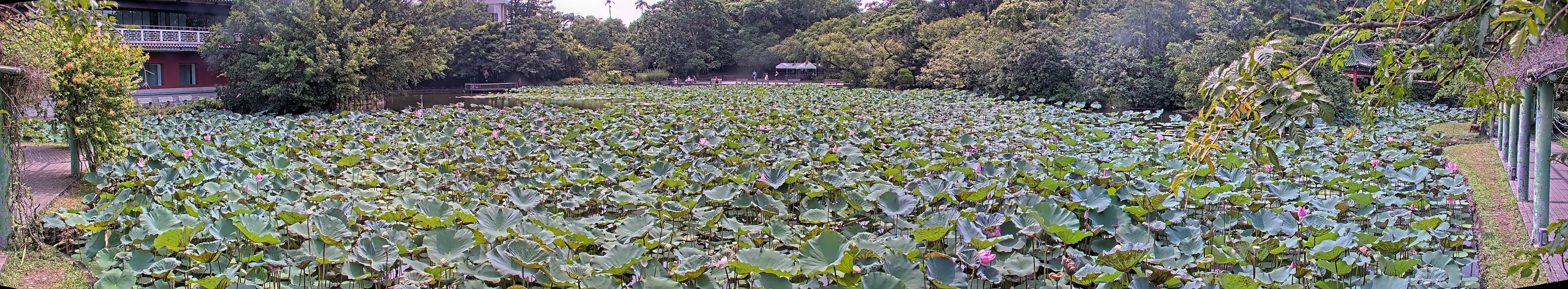 拍照日期：2025-08-08 時間：13時