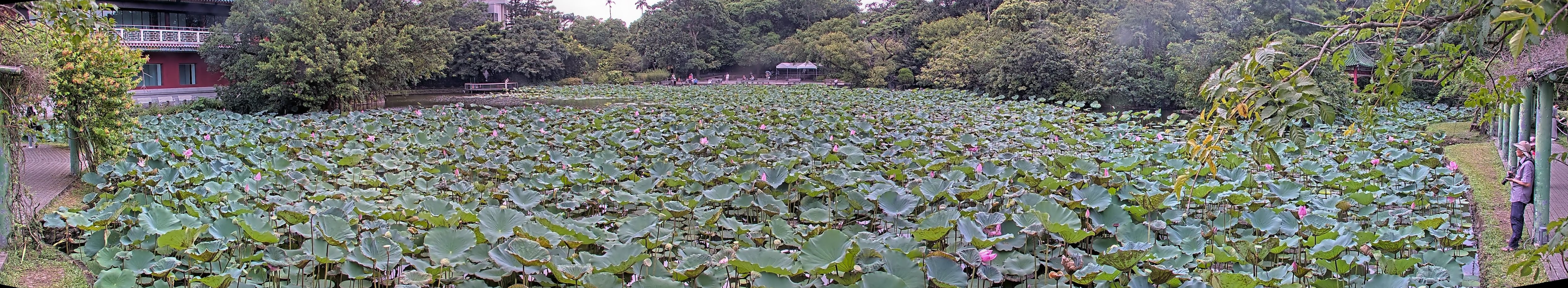 拍照日期：2025-08-08 時間：14時