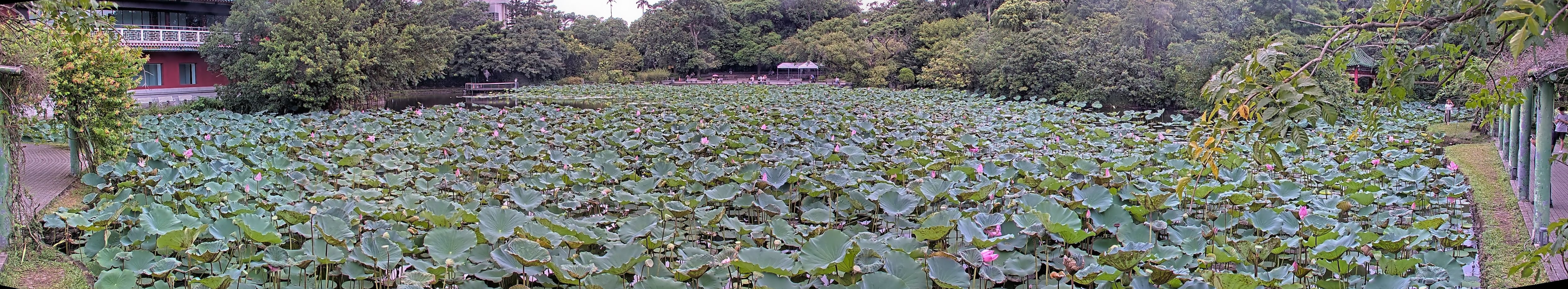 拍照日期：2025-08-08 時間：15時