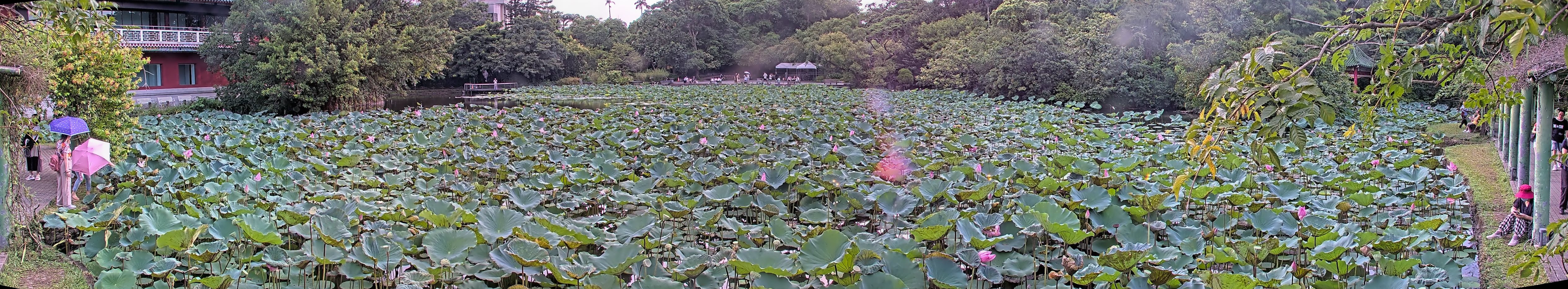 拍照日期：2025-08-08 時間：16時