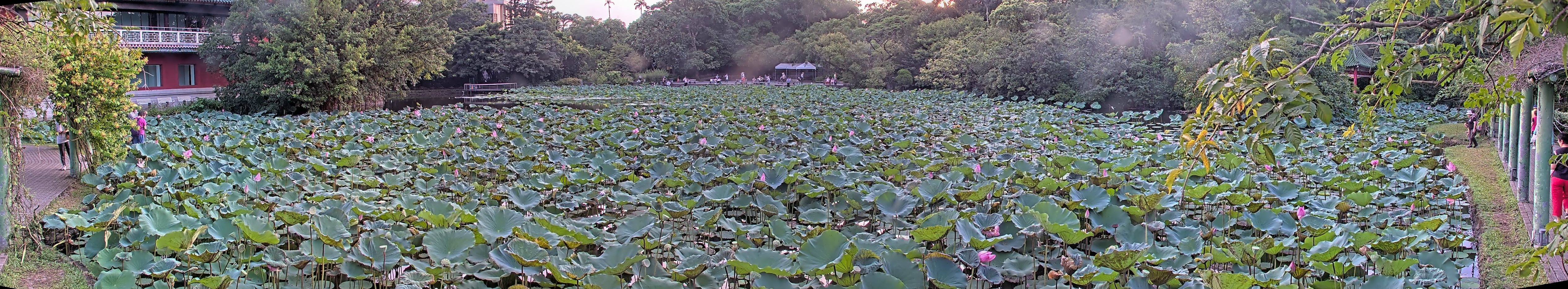 拍照日期：2025-08-08 時間：17時