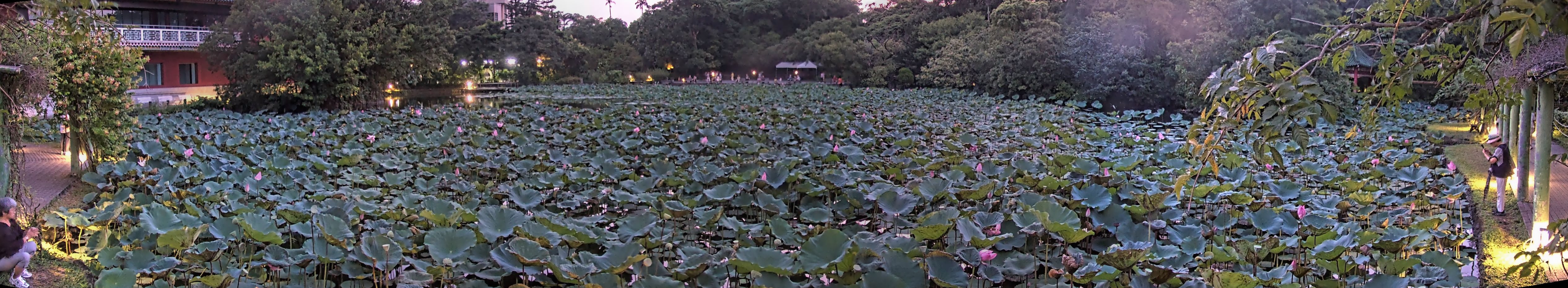 拍照日期：2025-08-08 時間：18時