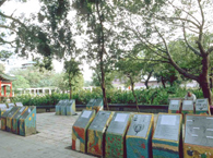 Senses Garden