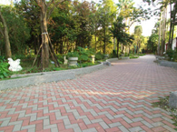 Chinese Zodiac Plants Garden