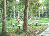 Botanists Memorial Garden
