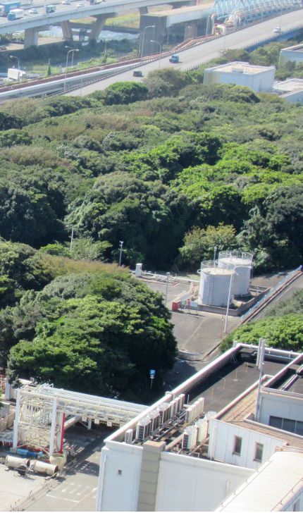 企業的自然正向路徑