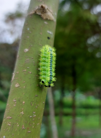 企業對生物多樣性影響如何衡量？